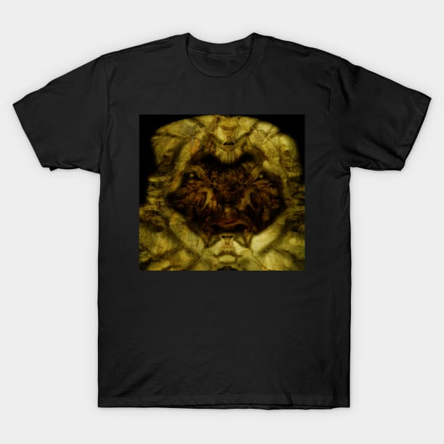 Other Phantom T-Shirt by Hereticwerks